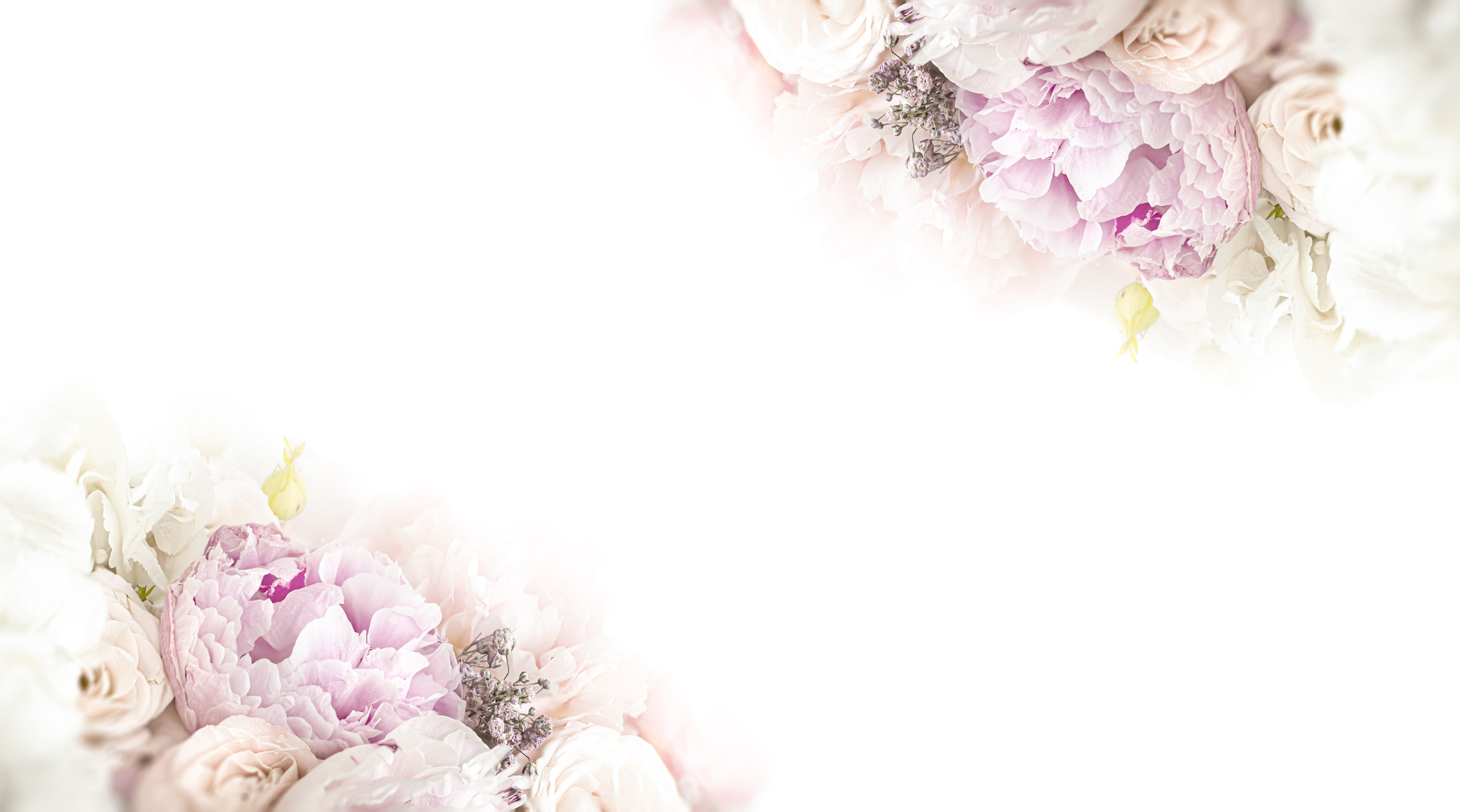 Floral background